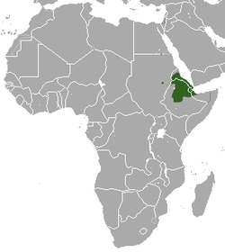 Distribución de la jineta etíope