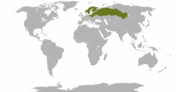 Áreas de distribución del alce eurasiático y del americano.