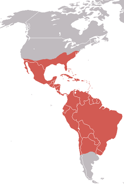 Mapa de la distribución aproximada del buitre negro americano. El color rojo indica su presencia.