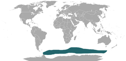 Distribución del lobo marino antártico