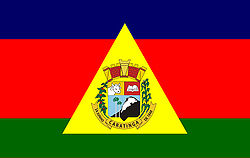 Bandeira de Caratinga - MG.jpg