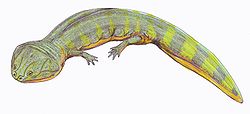 Batrachosuchus1DB.jpg