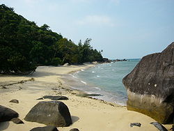Beach of Pulau Tioman.JPG