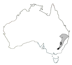 Current distribution of the Booroolong Frog (in black) compared to the historic distribution (in grey).