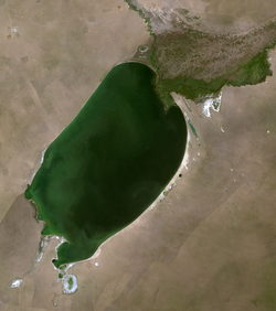 Buir Nuur in Eastern Mongolia and in China (Inner Mongolia), LandSat-7 2005-08-9 .png