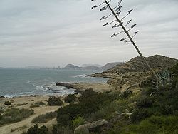 Vista de la playa de Cala de la Palmera
