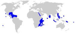 Distribución del tiburón punta blanca