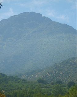 Cerro La Cruz.jpg