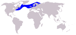 Área de distribución del delfín de flancos blancos
