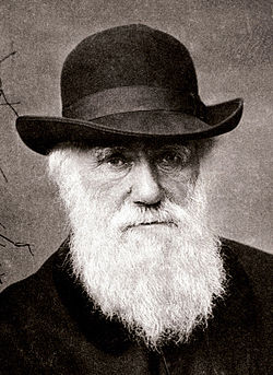 Aunque la teoría de Darwin fue ganando una amplia y creciente aceptación científica, esta se encontró con una fuerte resistencia religiosa.