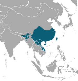 Distribución del tejón turón chino