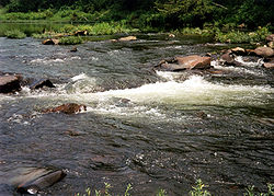 Cossatot River Arkansas.jpg
