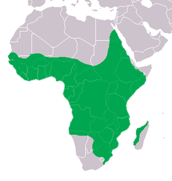 Distribución geográfica del cocodrilo el Nilo