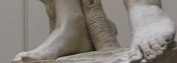 Los pies del David de Miguel Ángel, en los que se destacan ambos dedos gordos. Especialmente en el derecho, se observa magistralmente ejecutado el tendón del músculo extensor largo del dedo gordo, que se muestra prominente ya que el dedo se encuentra parcialmente en dorsiflexión. El izquierdo, por contra, está ligeramente en flexión. Este último, precisamente, está al lado del dedo que fue dañado en 1991 por un visitante llamado Piero Cannata.[1]  Da la impresión de que estos detalles constituyen un estudio anatómico intencionado por parte del artista, que alterna estados relajados y tensos en toda la obra.
