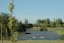 Vista de la laguna de Deltarium