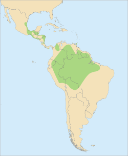 Distribución de la guacamaya roja