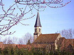 Eglise Stotzheim.jpg