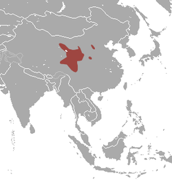 Gansu Pika area.png