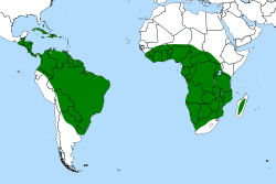 Global distribution of Genlisea