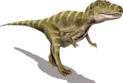 Gorgosaurus BW transparent.png