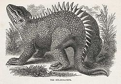 Hylaeosaurus.jpg