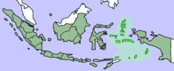 Mapa del archipiélago de las Molucas, donde se encuentra la isla de Sanana, único lugar del mundo donde habita el Varanus obor.