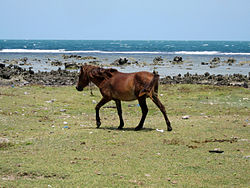 Jaffna Trip.jpg