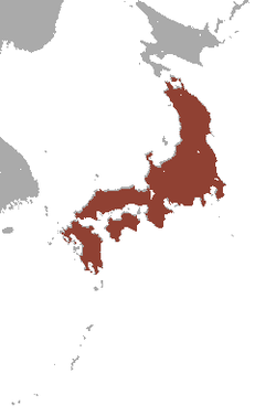 Área de distribución del tejón japonés