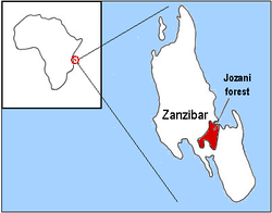 Localización de la Foresta de Jozani, hábitat natural de Kassina jozani.