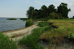Lagoon of Szczecin seen from Karsibór Island.jpg