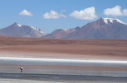 Laguna Kara, Uyuni, Bolivia.jpg