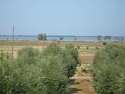 Lago de Lesina