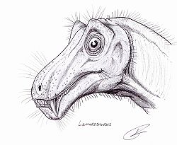 Lemurosaurus.jpg