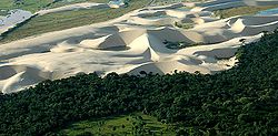 Vista aérea del parque, con las dunas de arena