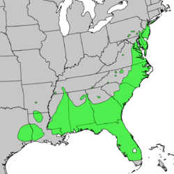 Magnolia virginiana range map.png