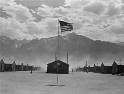 Manzanar Flag.jpg