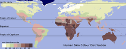 Map of skin hue equi3.png