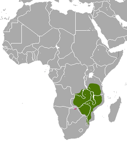 Distribución de la mangosta de Meller (verde) y presencia dudosa (rosa)