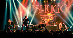 Meshuggah 2008 Melbourne.jpg