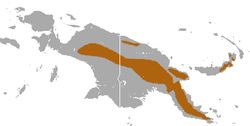 Mountain Tube-nosed Fruit Bat area.png