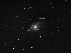 NGC772 SN2003hl SN2003iq 6223 Dahl.jpg