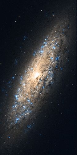 NGC 6503 Hubble WikiSky.jpg