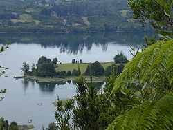 Detalle de la naturaleza de la isla grande Chiloé.