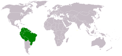 Situación de Organización del Tratado de Cooperación Amazónica