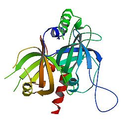 PBB Protein ACD image.jpg