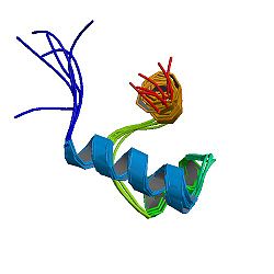 PBB Protein TERF1 image.jpg