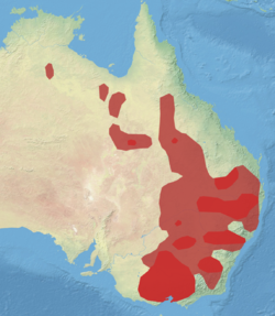 Distribución de Grantiella picta en Australia