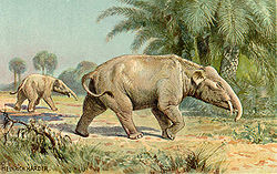 Paleomastodon.jpg