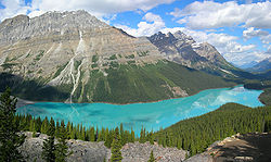 Peyto Lake-Banff NP-Canada.jpg