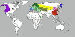 Cada color representa la distribución de las subespecies de Pica pica:  Verde: Pica p. pica,  Verde claro: P. p. asirensis, verde pantano: P. p. bactriana, rojo: P. p. bottanensis, verde oscuro: P. p. fennorum, azul: P. p. galliae, turquesa: P. p. germanica, amarillo: P. p. hemileucoptera, violeta: P. p. hudsonia, café: P. p. jankowskii, anaranjado claro: P. p. japonica,  azul oscuro: P. p. kamchatica, rosa claro: P. p. leucoptera,  naranja: P. p. mauritanica, celeste: P. p. melanotos, rosa:  P. p. nuttalli, rojo oscuro: P. p. sericea